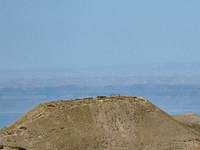 Machaerus Machaerus