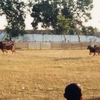 Madura Island Madura Island