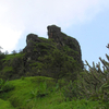 Mahuli