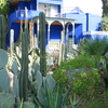 Majorelle Garden Majorelle Garden