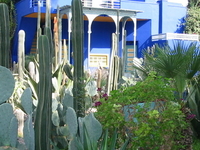Majorelle Garden Majorelle Garden
