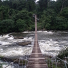Korup National Park Korup National Park