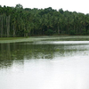 Manjeri Manjeri