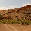 Mapungubwe National Park Mapungubwe National Park