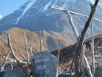 Mardi Himal Trek Mardi Himal Trek