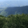 Monte Falterona