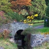 Morris Arboretum Morris Arboretum