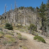 Mount Islip