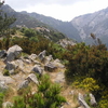 Mount Capanne