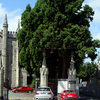 Mount Jerome Cemetery & Crematorium