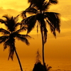 Bandra Bandra