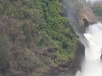 Murchison Falls Murchison Falls