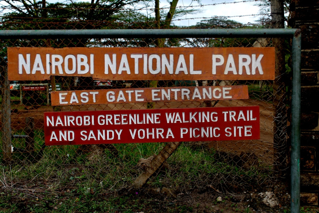 Nairobi National Park Wildlife for full day Photos