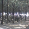 Nargol Nargol