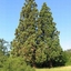 Nature is Our Friend - Park Forest Nature is Our Friend - Park Forest