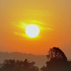 Navegaon National Park