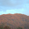 Neora Valley National Park