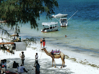 North Beach North Beach