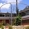 North Sydney Girls High School