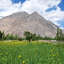 Nubra