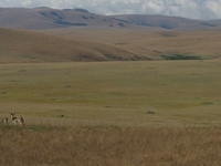 Nyika National Park