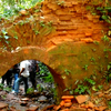 Chilapata Forests