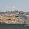 Lake Natron