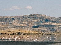 Lake Natron Lake Natron