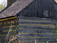 Neill Log House
