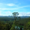 Nilgiri Mountains Nilgiri Mountains