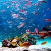 Manila Ocean Park
