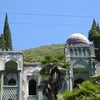 Gagra Gagra