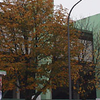 Grünwalder Stadion Grünwalder Stadion