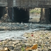 Oshiwara River