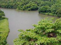 Thenmala Thenmala