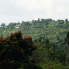 Tabanan Tabanan