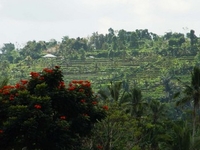 Tabanan Tabanan