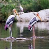 Hesaraghatta Lake Hesaraghatta Lake