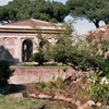 Palatine Hill Palatine Hill