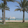 The Palm Tree Island The Palm Tree Island
