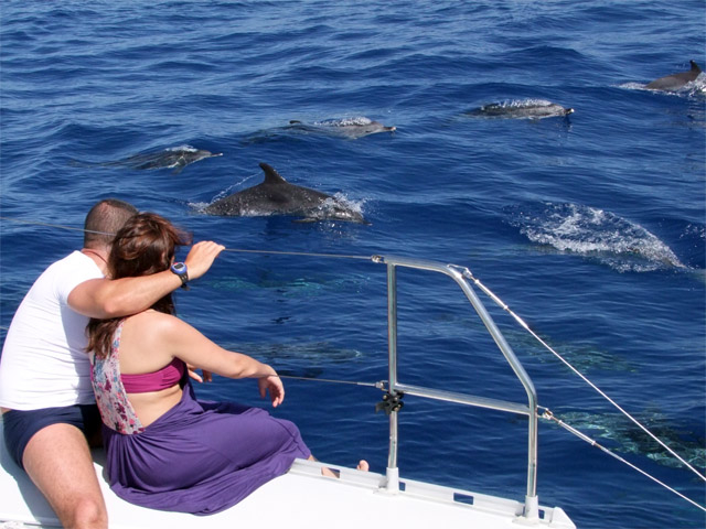 SkyWalk, Cliff & Valleys + Dolphin Watching Photos