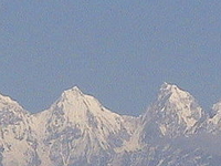 Chaukori