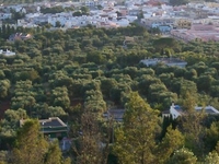 Casarano Casarano