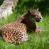 Gundla Brahmeswaram Wildlife Sanctuary
