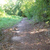 Braselton