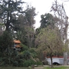 O'Higgins Park