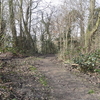 Bramley Bank