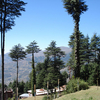 Patnitop Patnitop