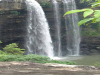 Pench Reservoir