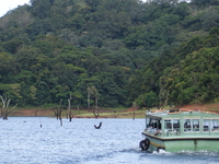 Thekkady